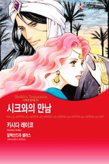 시크와의 만남 (사막의 왕자들 8)