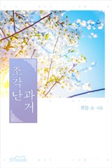 조각난 과거