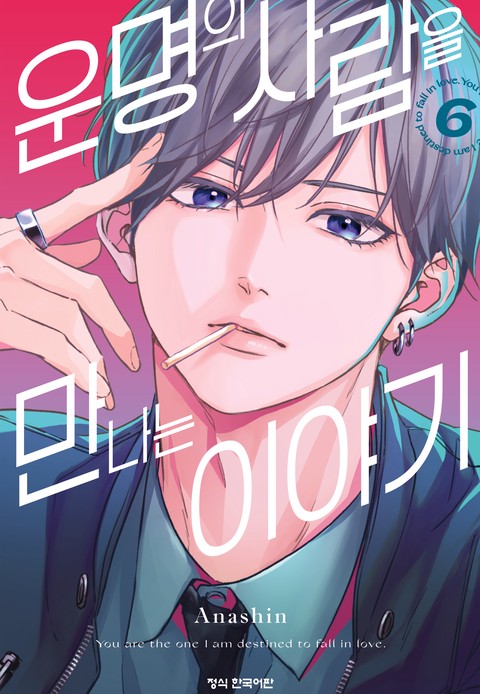 운명의 사람을 만나는 이야기 [단행본]