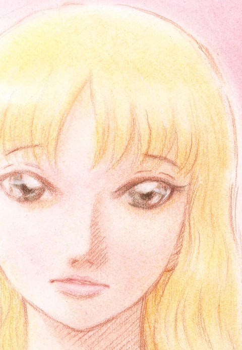 바보의 껍질 [단행본]