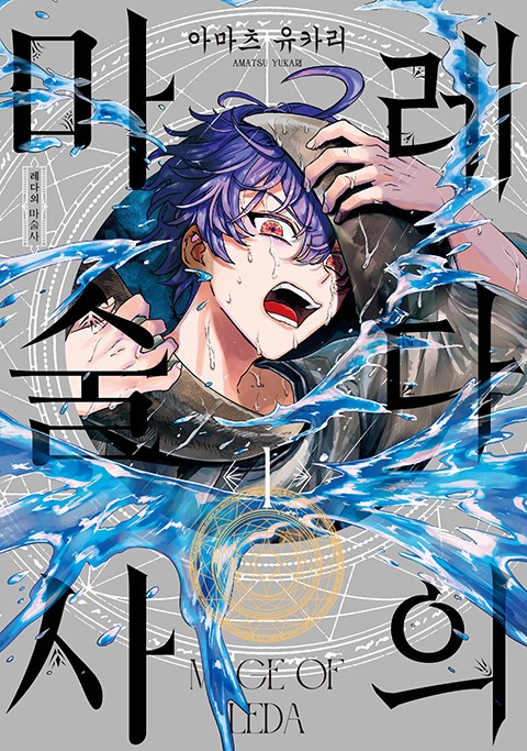 레다의 마술사 [단행본]