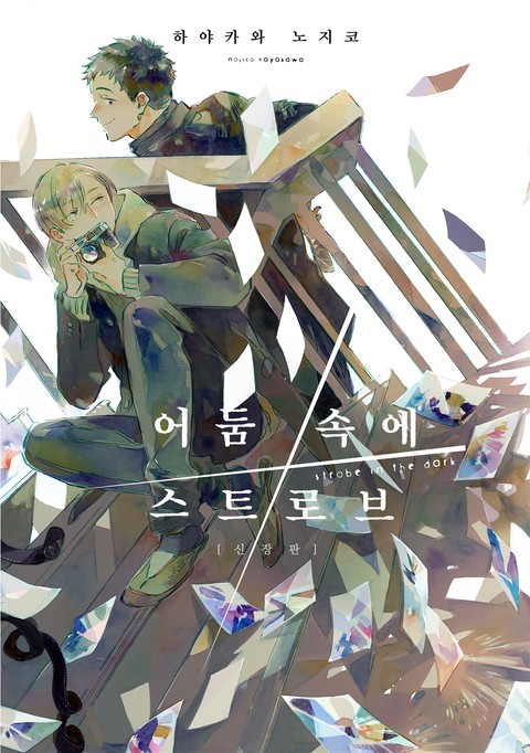 어둠 속에 스트로브 (신장판)