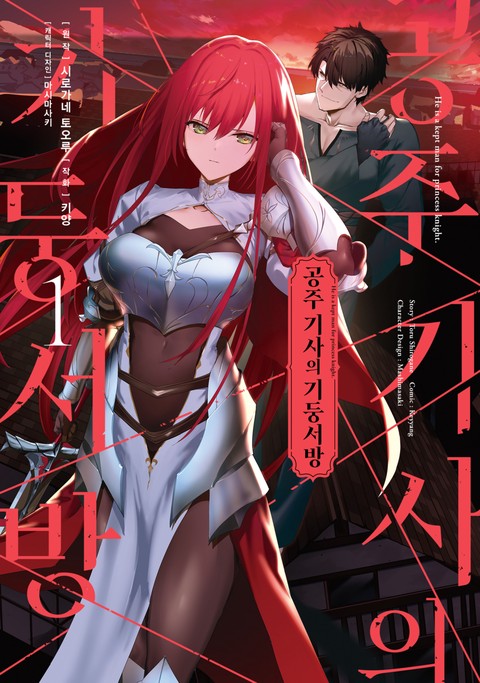 공주 기사의 기둥서방 [단행본]