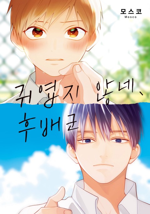 [솔트] 귀엽지 않네, 후배군 [단행본]