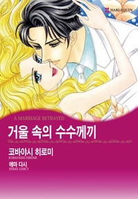 거울 속의 수수께끼