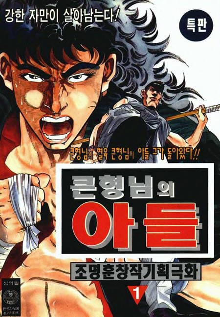 큰형님의 아들 [단행본]