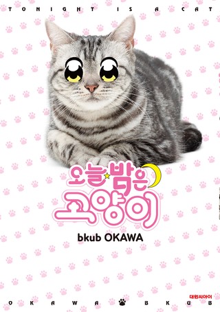 5화