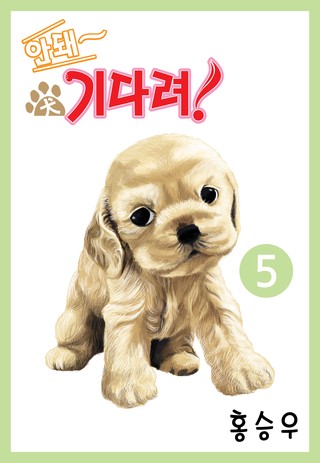 5화