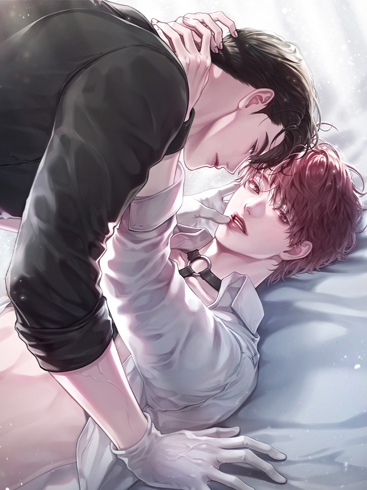 진비서 감금일지