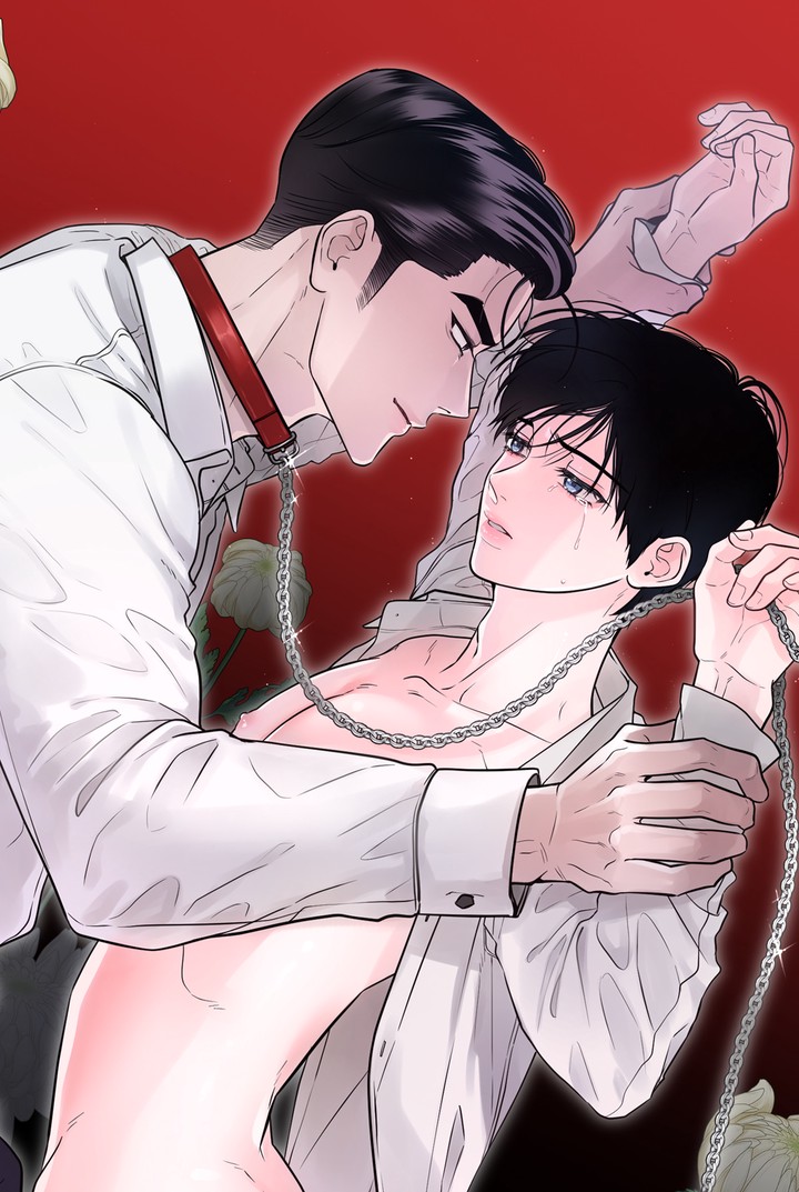 [성비단 견공주의] 주광성