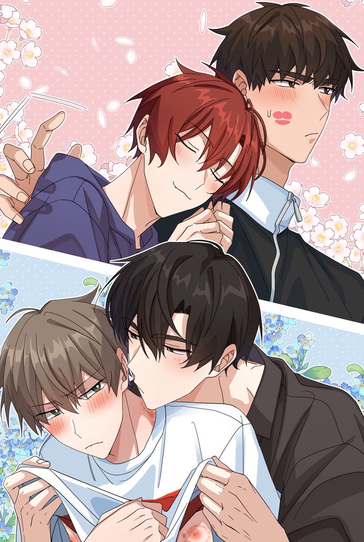 [특가세트] 플라시보 메모리 [통합본]