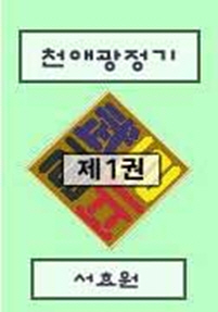 천애광정기