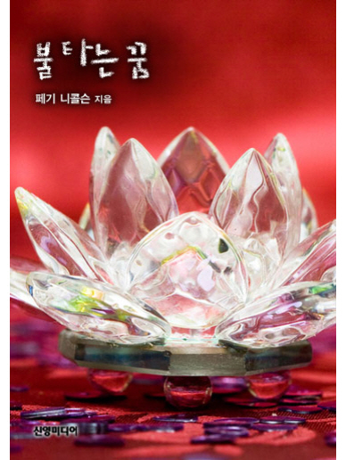 불타는 꿈 [단행본]