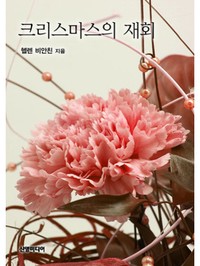 크리스마스의 재회