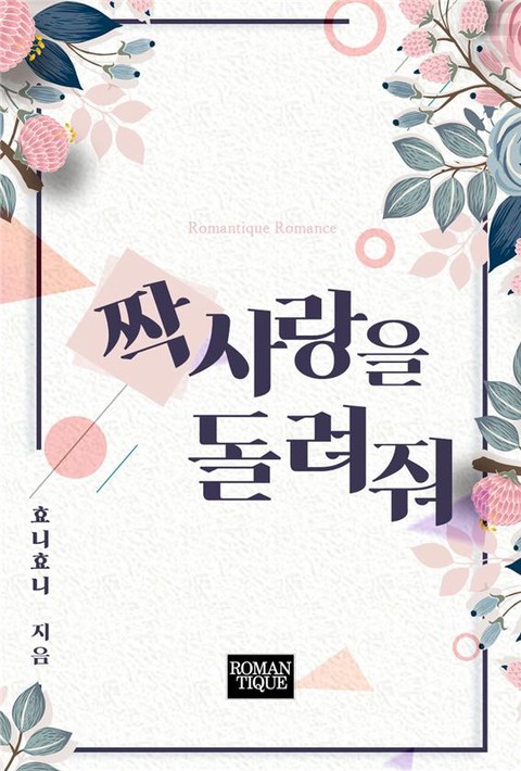 짝사랑을 돌려줘 [단행본]