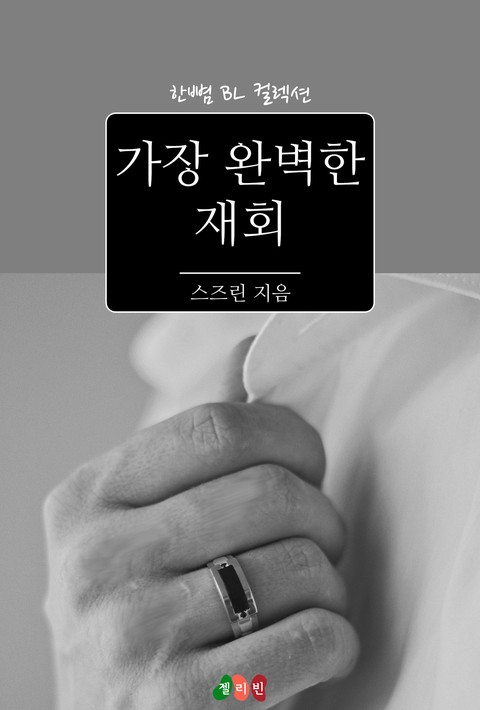 [BL] 가장 완벽한 재회 [단행본]