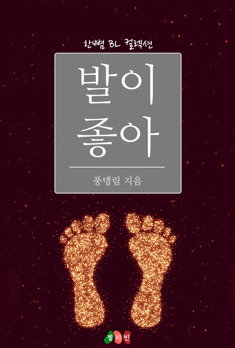 [BL] 발이 좋아 [단행본]