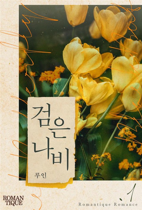 검은 나비 [단행본]