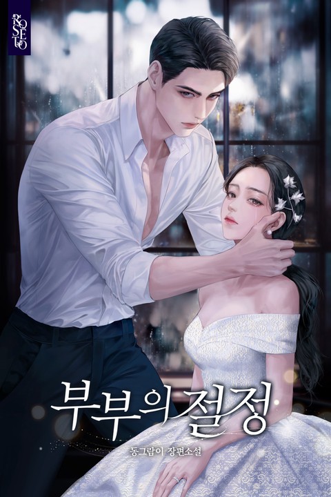 부부의 절정 (연재)