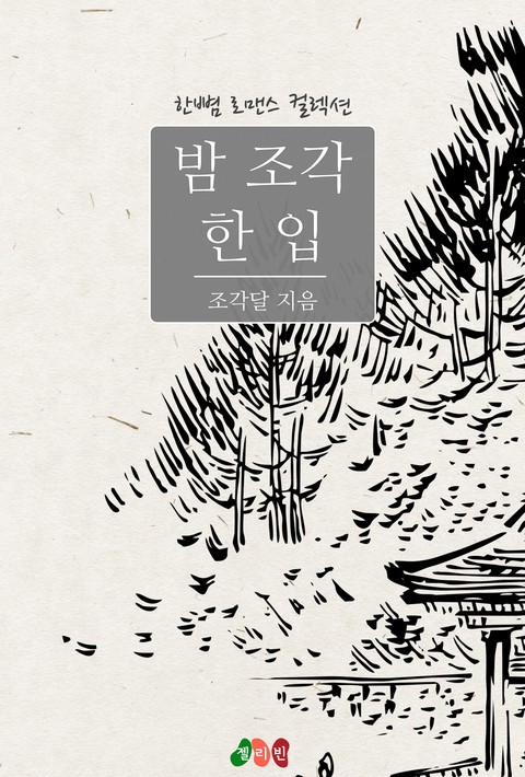 밤 조각 한 입 [단행본]