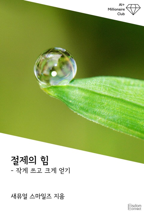 절제의 힘 : 작게 쓰고 크게 얻기 (AI+ 백만장자 클럽) [단행본]