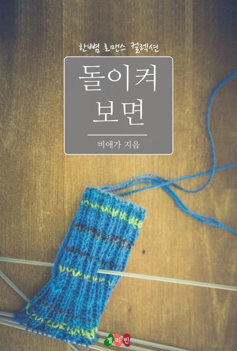 돌이켜보면 [단행본]