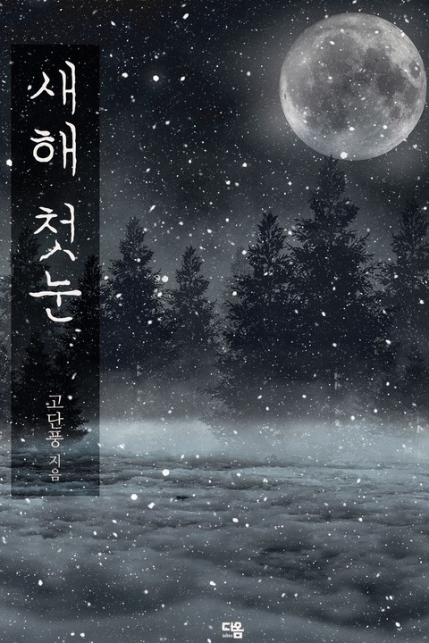 새해 첫눈 [단행본]