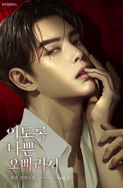 이토록 나쁜 오빠라서 [단행본]