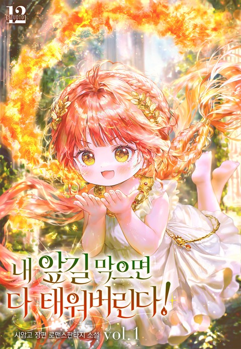 내 앞길 막으면 다 태워 버린다! [단행본]