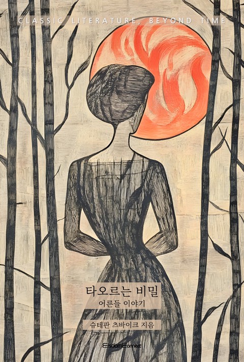 타오르는 비밀 : 어른들 이야기 [단행본]
