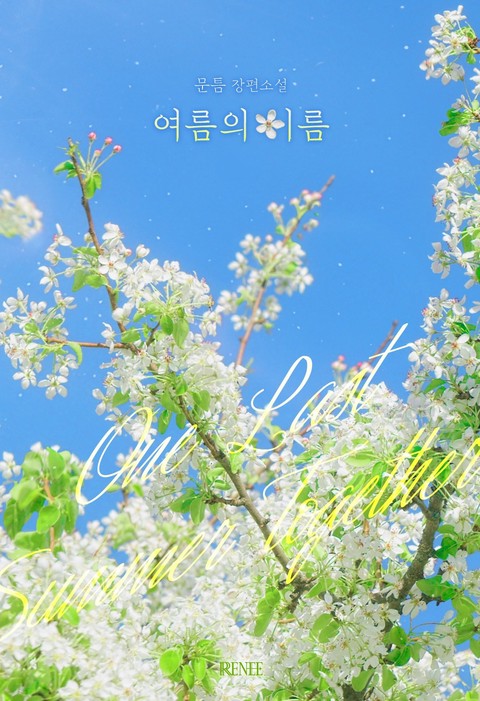 여름의 이름 [단행본]