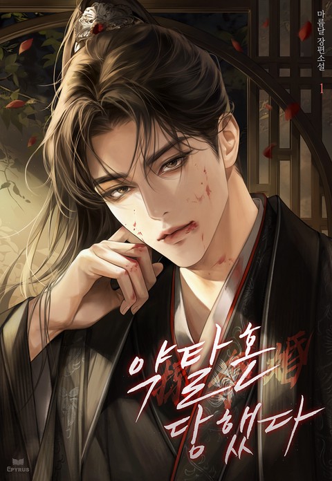 약탈혼 당했다 (15세 개정판) [단행본]