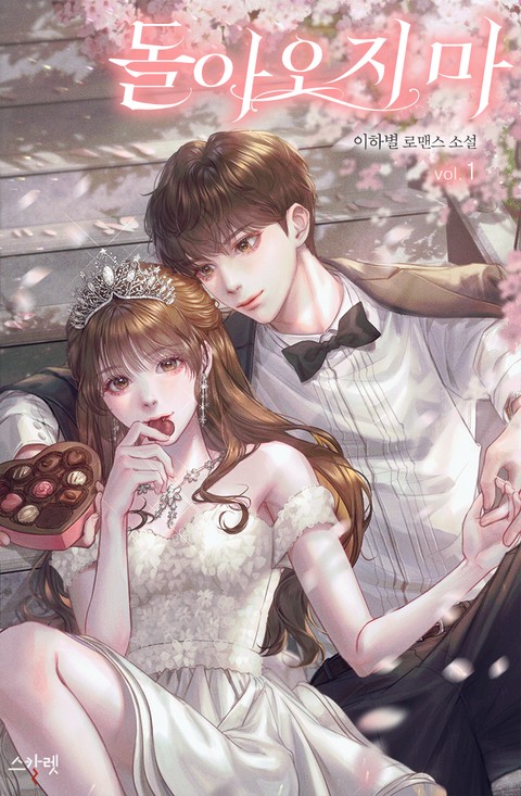 돌아오지 마 [단행본]
