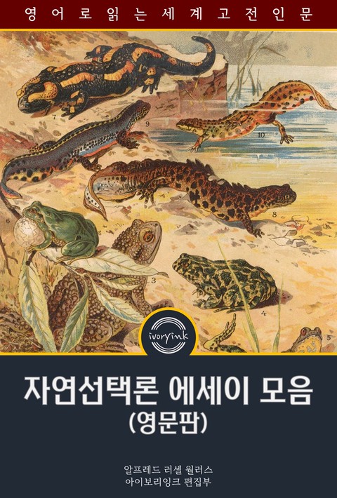 자연선택론 에세이 모음 / Contributions to the Theory of Natural Selection (영문판) [단행본]