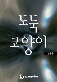 도둑 고양이