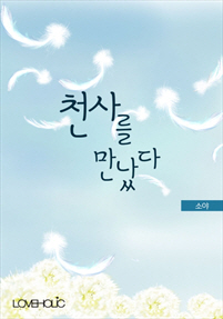 천사를 만났다 [단행본]