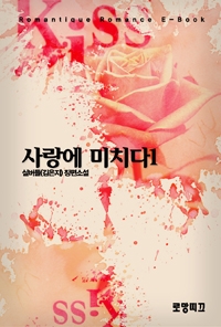 사랑에 미치다 [단행본]