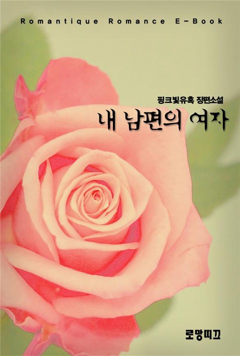 내 남편의 여자 [단행본]