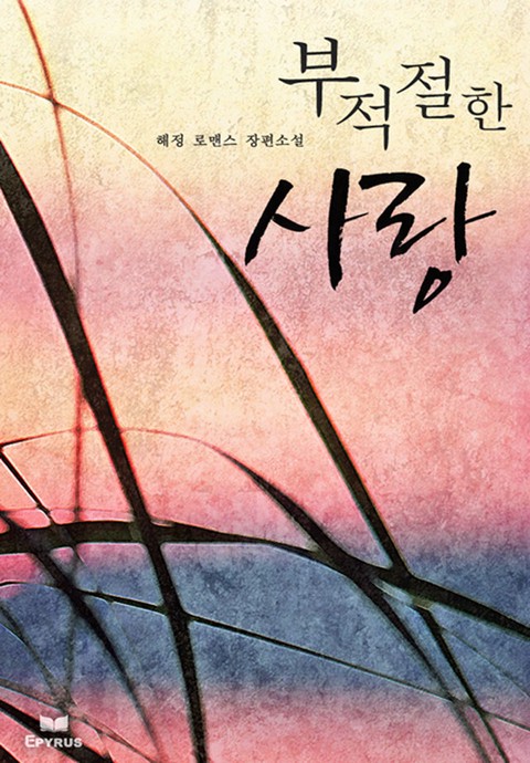 부적절한 사랑 [단행본]