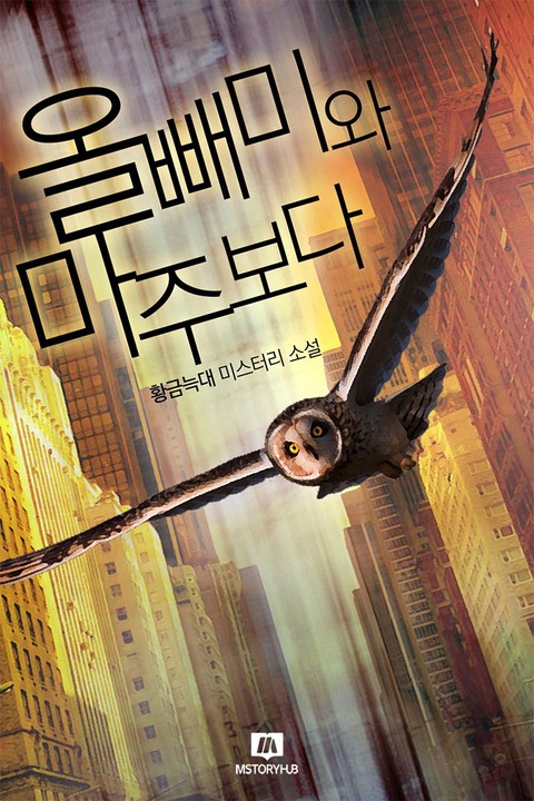 올빼미와 마주보다