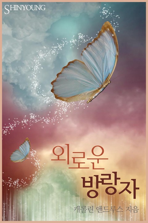 외로운 방랑자 [단행본]