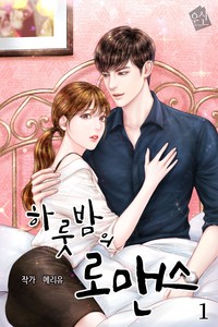 하룻밤의 로맨스